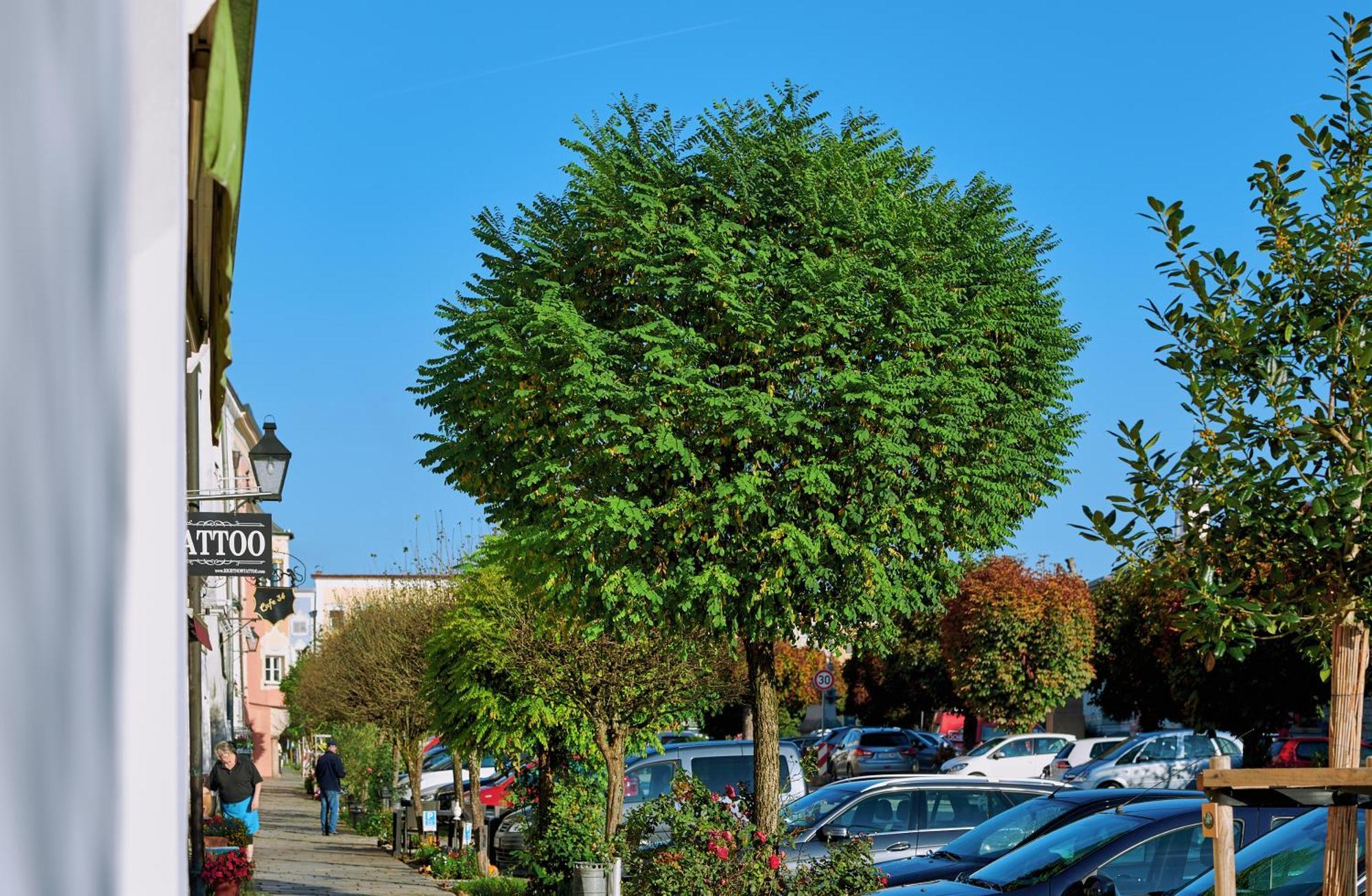 Ferienwohnung Tittmoning Zwischen Salzburg, Burghausen Und Oesterreich Exterior photo
